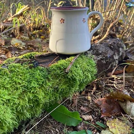 Na Samote Pod Skalou - Digitalny Detox Dağ evi