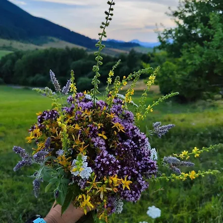 Na Samote Pod Skalou - Digitalny Detox * Velicna