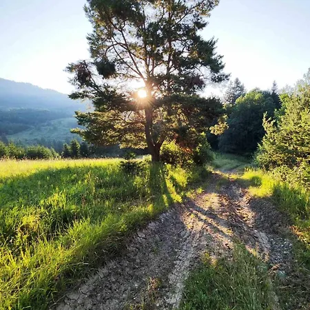 Na Samote Pod Skalou - Digitalny Detox *